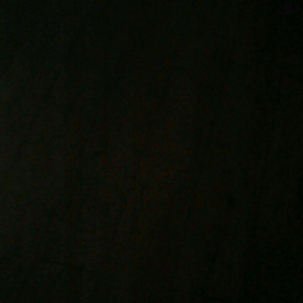 Meet your Posher, Quwanda