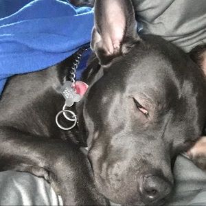 Meet your Posher, Ricky