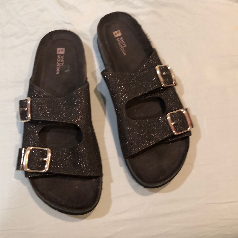 White Mountain Slides