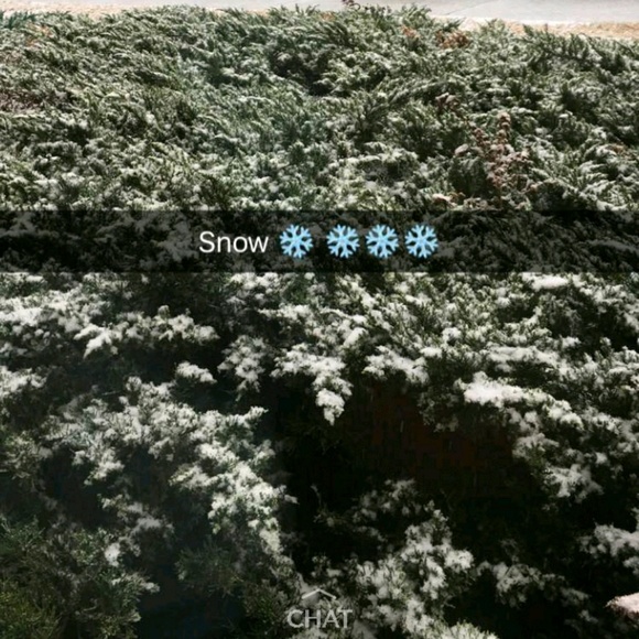 Meet your Posher, Jasmine - Picture 1 of 1