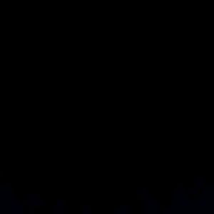 Meet your Posher, Leo