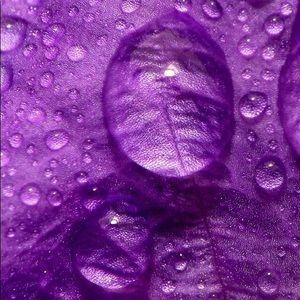 Meet your Posher, Jeffrey