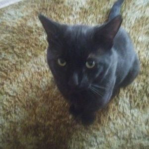 Meet your Posher, Patty