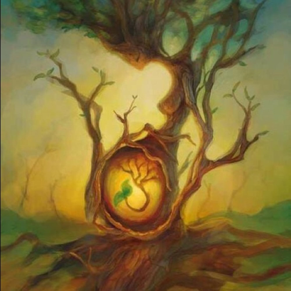 Meet your Posher, Marcie