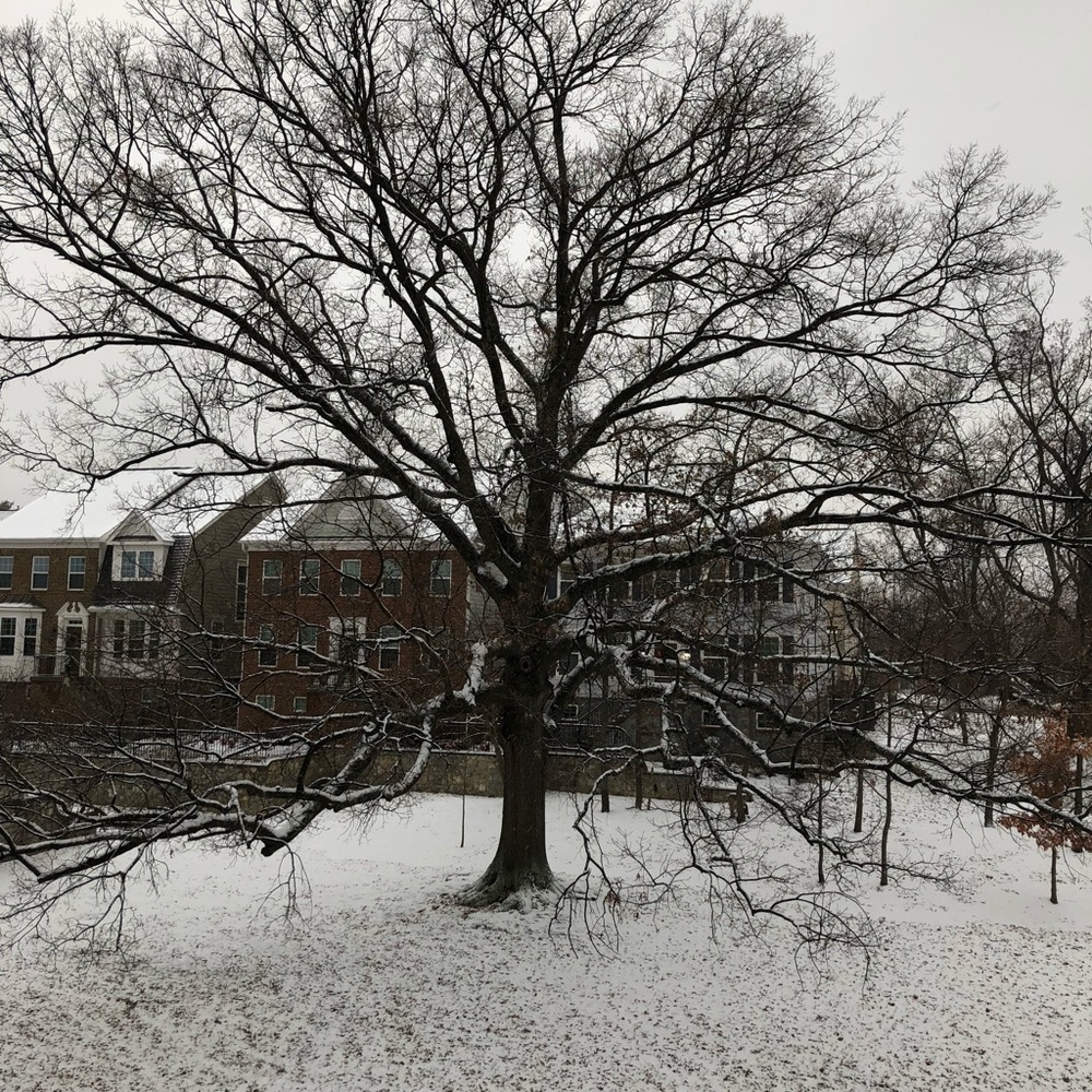 Meet your Posher, Rana