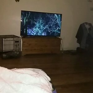 Meet your Posher, Casey