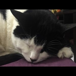 Meet your Posher, Dina