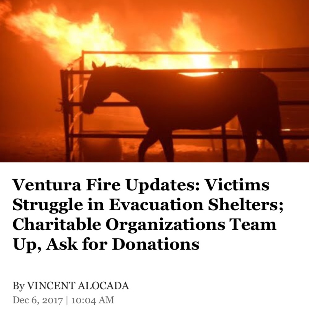 ❤️PLEASE CONSIDER DONATING to CA wildfire relief❤️