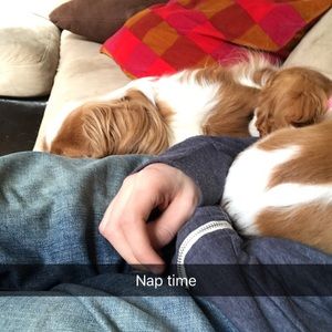 Meet your Posher, Charles