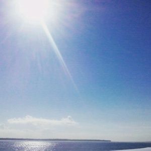 Meet your Posher, Sandy