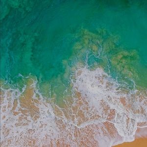 Meet your Posher, Edwin