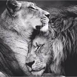 Meet your Posher, Jon