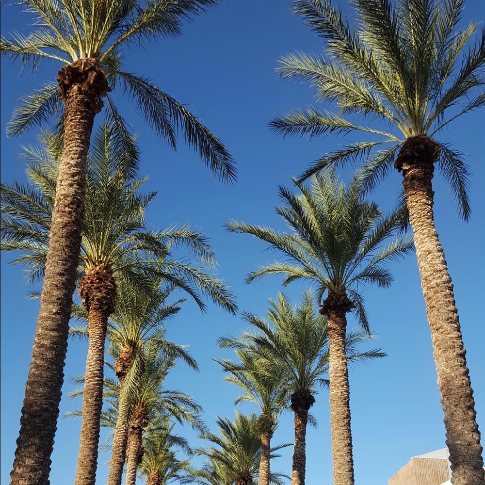 Meet your Posher, Savanna