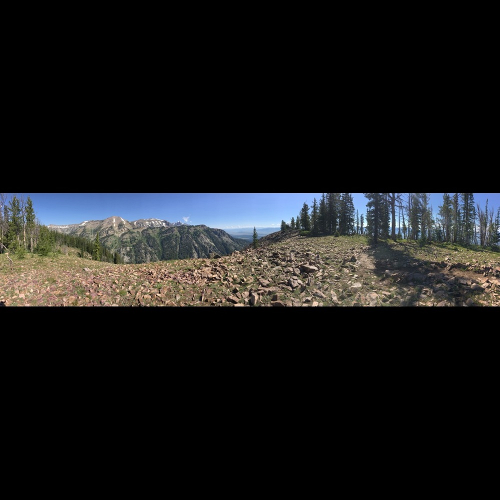 Meet your Posher, Toni