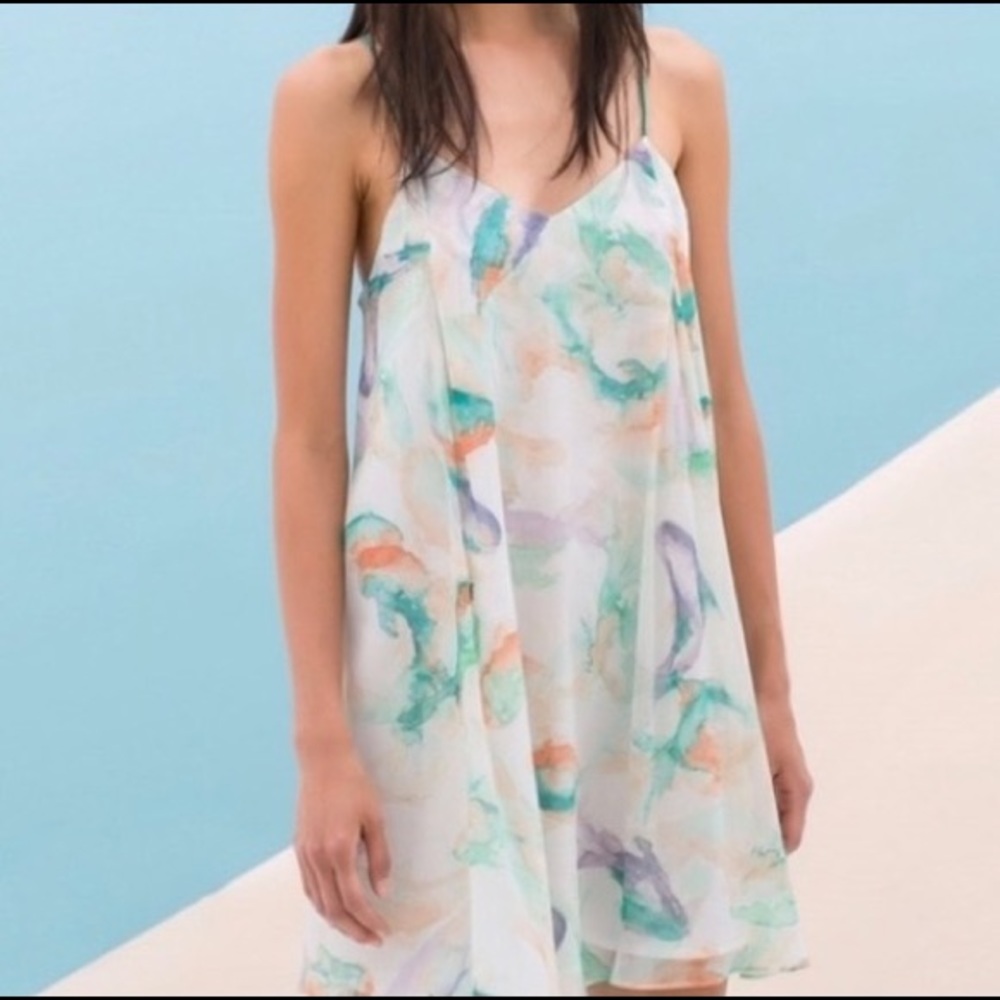 Zara Watercolor Koi Dress