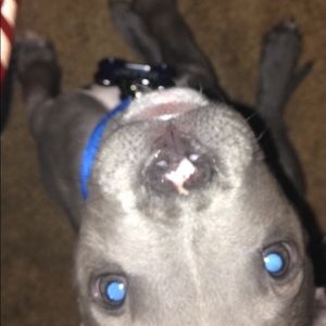 Meet your Posher, Ray