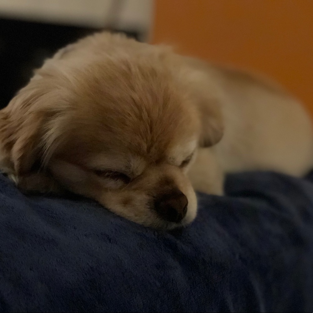 Meet your Posher, Giovanni