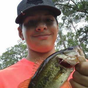 Meet your Posher, George