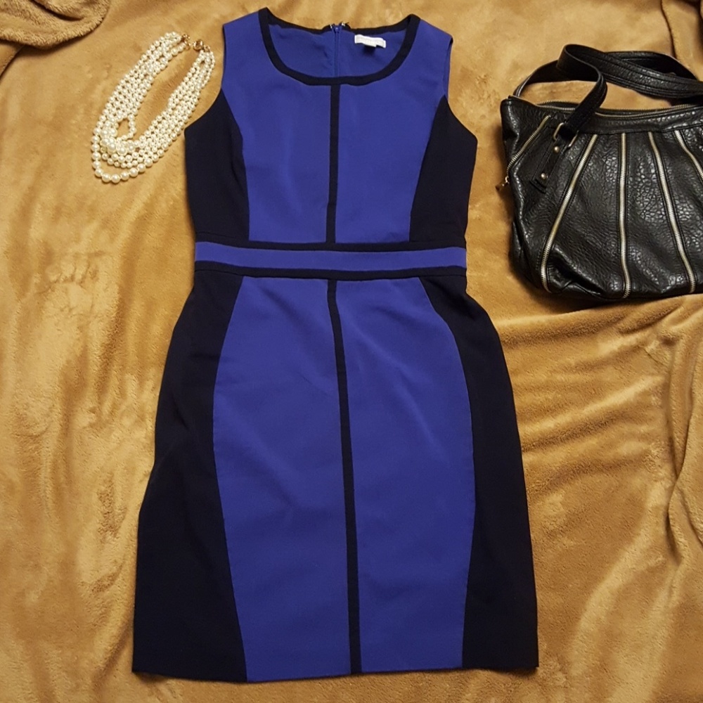 New York and Company blue and black knee length sd