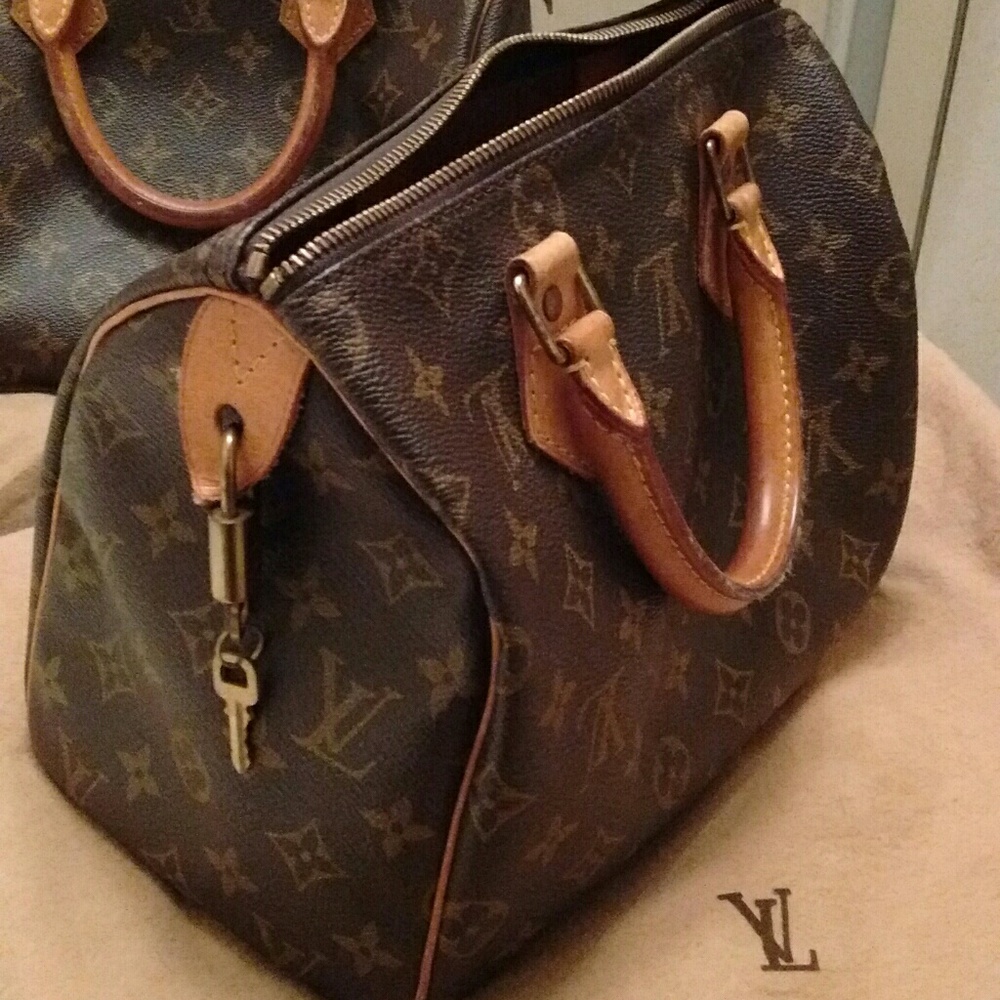 Louis Vuitton Speedy Satchel