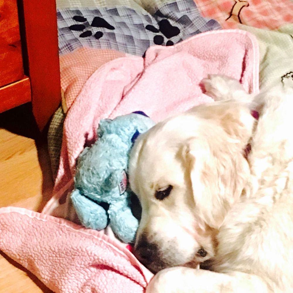 Meet your Posher, Nani