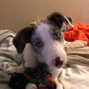 Meet your Posher, Nathan