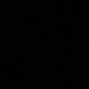 Meet your Posher, Malik