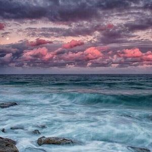 Meet your Posher, Jocelyn