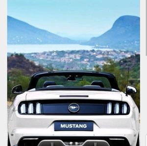 Meet your Posher, Tristan