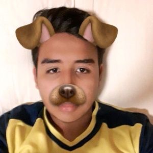 Meet your Posher, Bruce