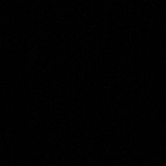 Meet your Posher, Jose - Picture 1 of 1