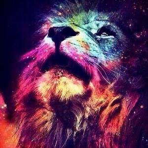 Meet your Posher, Lamont