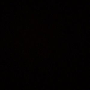 Meet your Posher, Daniella