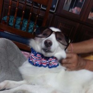 Meet your Posher, Anu