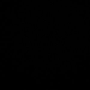 Meet your Posher, Cory