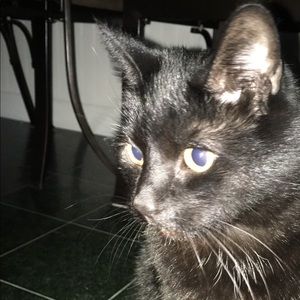 Meet your Posher, Liam