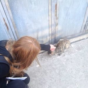 Meet your Posher, Bre