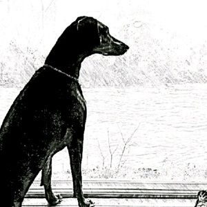 Meet your Posher, Barbara