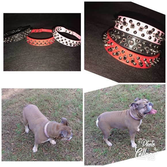 Other - LEATHER SPIKED DOG COLLARS