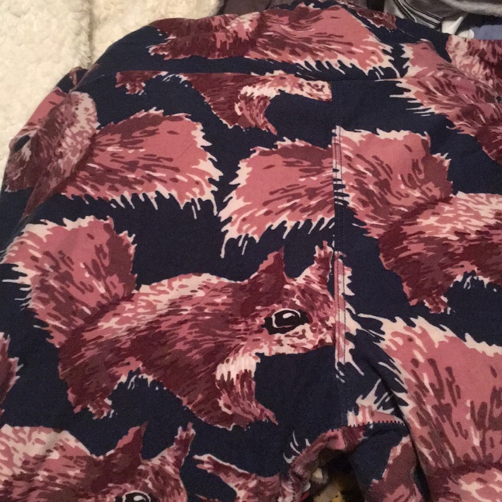 Brand New TC Squirrel LulaRoe Leggings