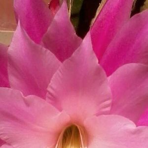 Meet your Posher, Martha