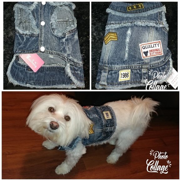 Other - STYLISH DEMIN JACKET
