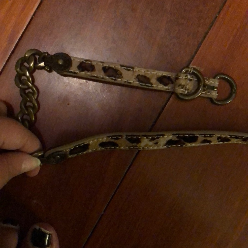 Chain and leopard print belt- from Nordstrom’s