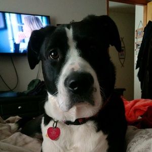 Meet your Posher, Jo