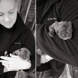 Meet your Posher, Ana veronica