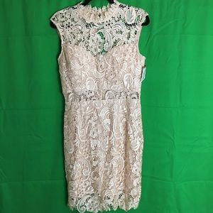 Soieblu Lace Dress