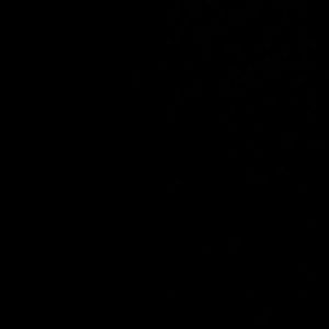 Meet your Posher, Jose