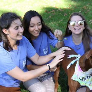 Meet your Posher, Hannah