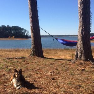 Meet your Posher, Eileen