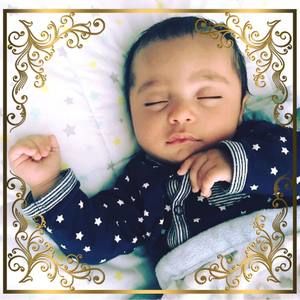 Meet your Posher, Amir-ibra
